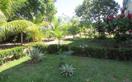 Apartamento no Manoel Julião